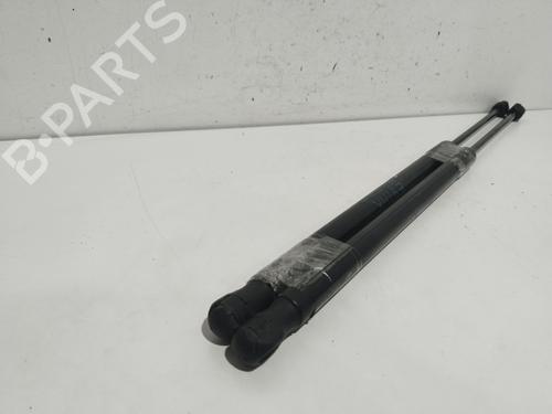 Tailgate lift support BMW 3 Touring (E91)  | BP20851945C138 