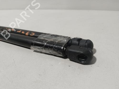 Tailgate lift support JAGUAR S-TYPE II (X200) 2.5 V6 | BP31572029C138