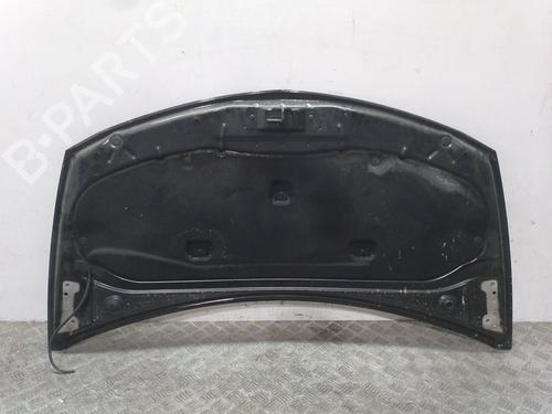 Hood RENAULT CLIO III (BR0/1, CR0/1)  | BP5203007C1 