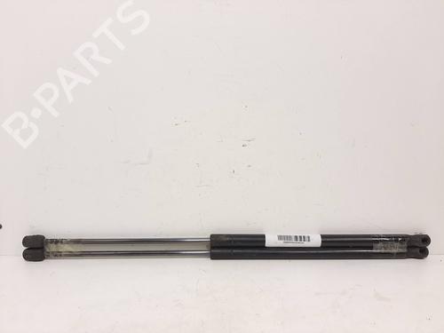 Gasdæmper bagklap Gasdæmper bagklap FORD FOCUS C-MAX (DM2) [2003-2007] 14066689 14066689
