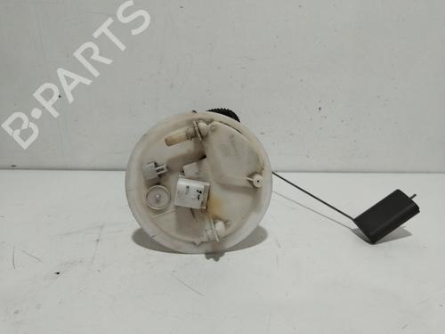 Fuel pump RENAULT MEGANE II (BM0/1_, CM0/1_)  | BP19252411M76 