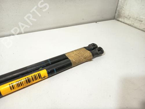 Tailgate lift support DACIA SANDERO 1.2 16V | BP34344611C138 - Image 3
