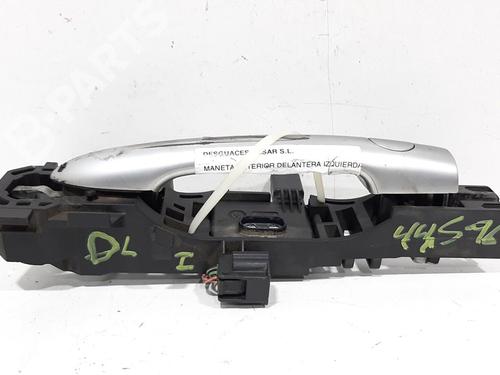 Front left exterior door handle RENAULT SCÉNIC II (JM0/1_)  | BP8406884C128 