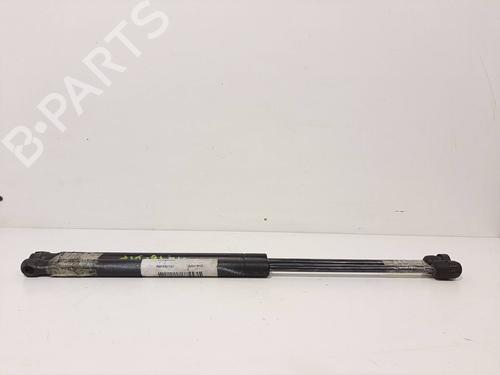 Used Tailgate lift support Tailgate lift support CITROËN C3 I (FC_, FN_) 1.4 HDi (70 hp) 14066557 14066557