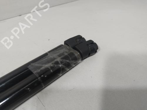 Tailgate lift support SEAT IBIZA IV (6J5, 6P1) 1.4 | BP29434016C138 