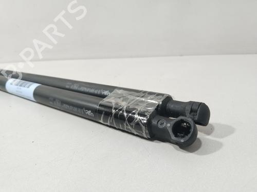 Tailgate lift support CITROËN XSARA PICASSO (N68) 1.6 16V | BP29852471C138