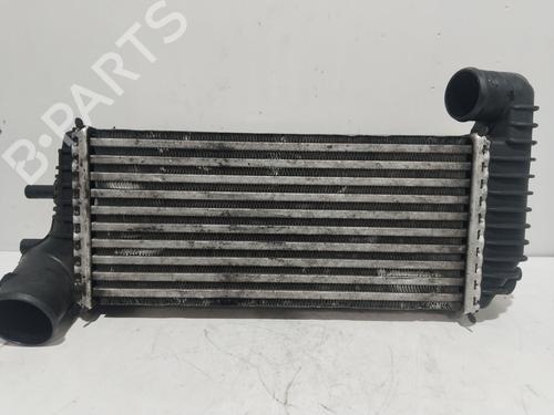 Used Intercooler Intercooler FORD TRANSIT CONNECT V408 Box Body/MPV 1.6 TDCi (95 hp) 21289058 21289058