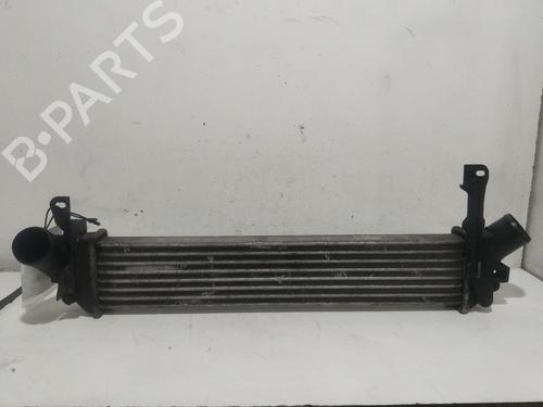 Used Intercooler Intercooler RENAULT KANGOO (KC0/1_) [1997-2026] 19022807 19022807