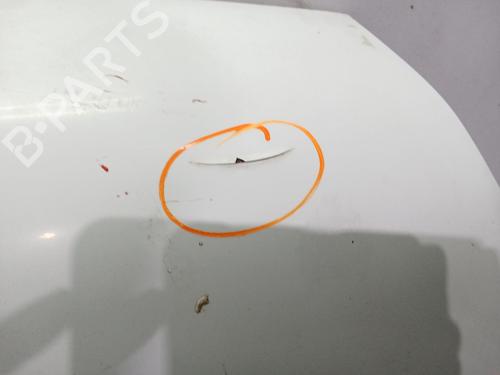 Hood FORD TRANSIT CONNECT (P65_, P70_, P80_) 1.8 TDCi | BP30179090C1