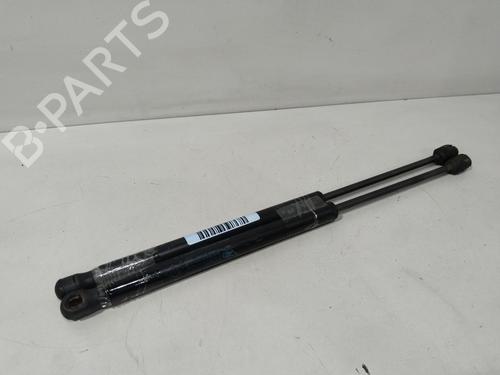 Amortiguador portón/maletero RENAULT MEGANE II (BM0/1_, CM0/1_) 1.6 16V (BM0C, CM0C) (113 hp) 29520809