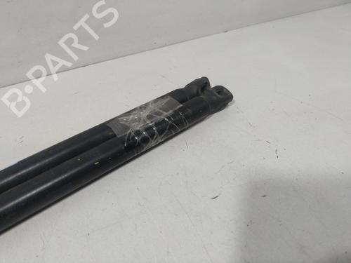 Tailgate lift support SEAT IBIZA IV (6J5, 6P1)  | BP29734086C138