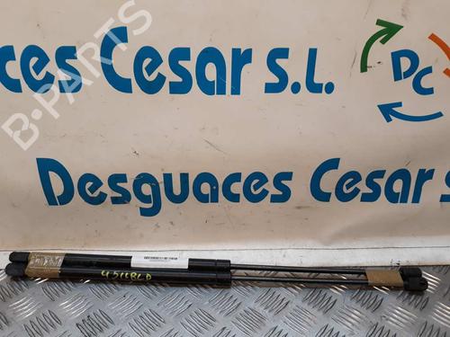Used Tailgate lift support FIAT SEICENTO / 600 (187_) [1997-2010]  14066249
