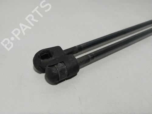 Tailgate lift support JAGUAR S-TYPE II (X200) 2.5 V6 | BP31572029C138