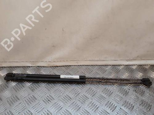 Used Tailgate lift support FORD FIESTA V (JH_, JD_) [2001-2014]  14066006
