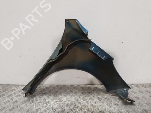 Left front fenders PEUGEOT 207 (WA_, WC_) 1.4 16V | BP28424258C41 