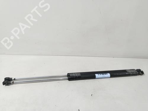 Gasdæmper bagklap CITROËN C8 (EA_, EB_) 2.2 HDi (128 hp) 30396302