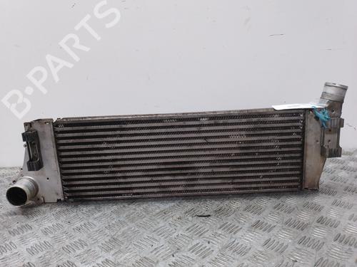 Used Intercooler RENAULT MEGANE II (BM0/1_, CM0/1_) [2001-2012]  9810098