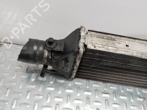 Intercooler FIAT LINEA (323_, 110_) 1.6 D Multijet | BP31833609M30