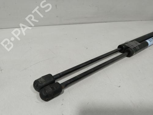 Tailgate lift support RENAULT SCÉNIC II (JM0/1_) 1.6 (JM0C, JM0J, JM1B) | BP29915636C138
