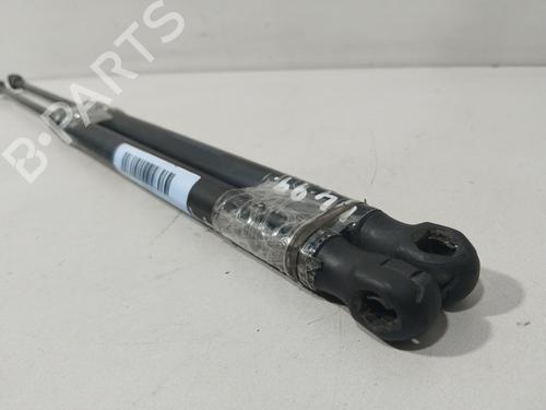 Tailgate lift support SEAT ALTEA (5P1) 1.9 TDI | BP25001780C138 