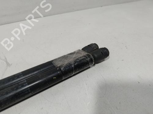 Tailgate lift support MINI MINI (R50, R53) One | BP29734087C138