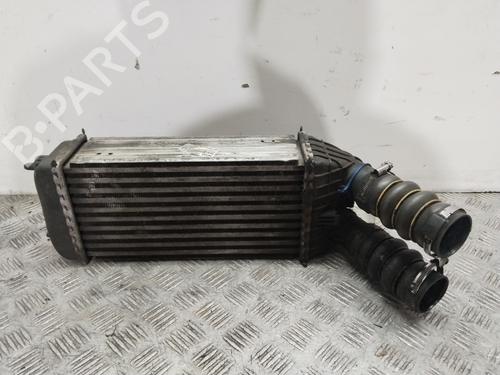 Intercooler Intercooler PEUGEOT 207 (WA_, WC_) 1.6 HDi (92 hp) 29712315 29712315