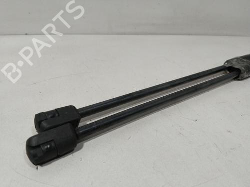 Tailgate lift support NISSAN PRIMERA Hatchback (P12) 1.9 dCi | BP29754933C138