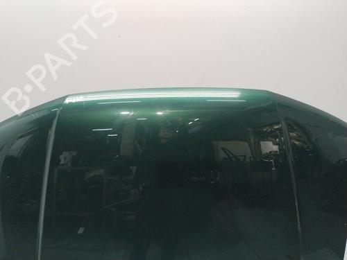 Hood NISSAN PATHFINDER III (R51)  | BP17337834C1