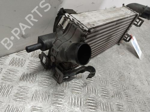 Intercooler FORD C-MAX II (DXA/CB7, DXA/CEU) 1.0 EcoBoost | BP29752069M30