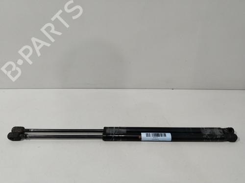 tailgate-lift-support-renault-scenic-ii-jm01_-2003-2004-2005-2006-2007-2008-2009-2010-28211291 main image