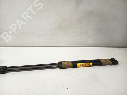 tailgate-lift-support-dacia-sandero-2008-34344611 main image