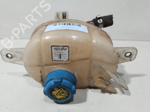 Expansion tank FIAT FIORINO Box Body/MPV (225_) 1.3 D Multijet (225BXD1A, 225BXB1A, 225BXB11) | BP29869965C120