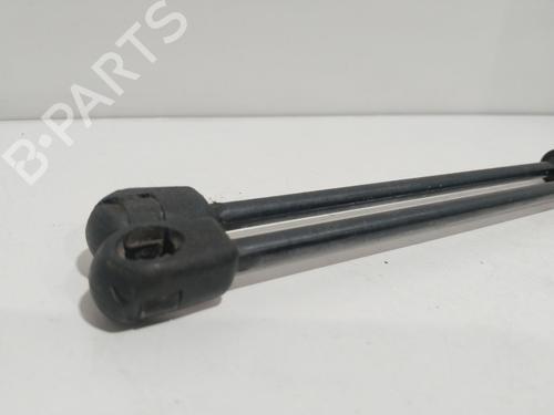 Tailgate lift support FIAT BRAVO I (182_) | BP14065745C138
