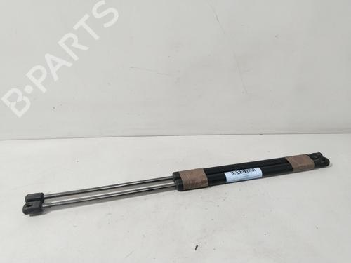 Used Tailgate lift support FORD FIESTA VI (CB1, CCN) 1.0 EcoBoost (100 hp) 30396290