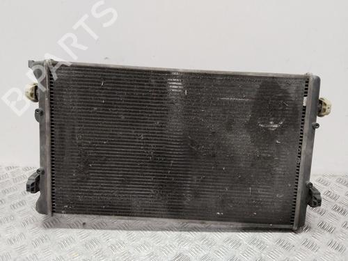 Køler VW GOLF IV (1J1)  | BP17446231M31 