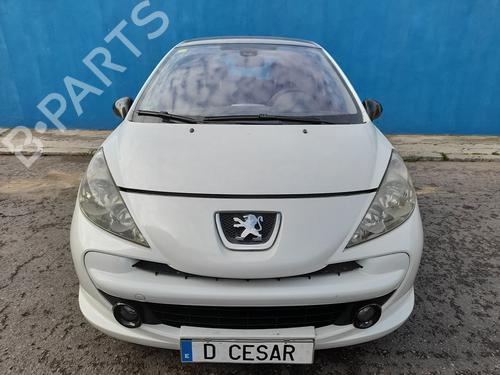 BP13413975C2 | Portier links voor PEUGEOT 207 (WA_, WC_)  BP13413975C2