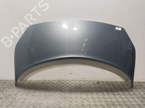 Panser RENAULT GRAND SCÉNIC II (JM0/1_) 1.9 dCi (JM14) (131 hp) 17492199