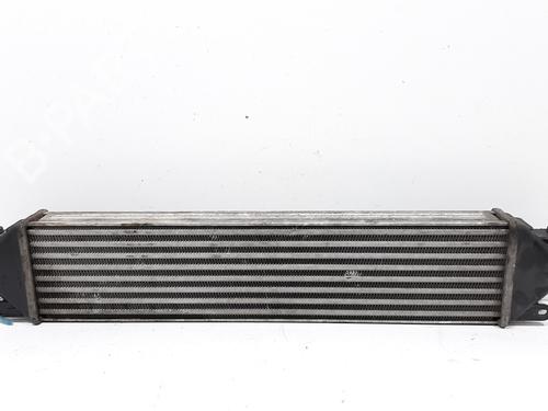Used Intercooler Intercooler FIAT GRANDE PUNTO (199_) 1.9 D Multijet (130 hp) 8697237 8697237