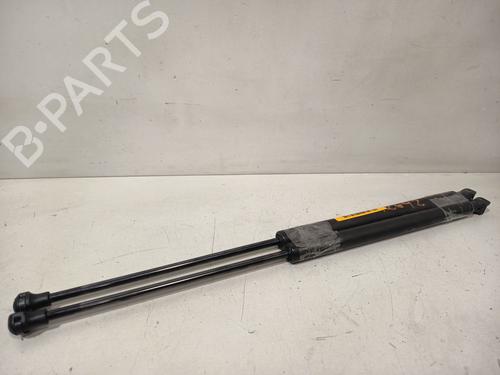 tailgate-lift-support-peugeot-207-wa_-wc_-2006-2007-2008-2009-2010-2011-2012-2013-2014-2015-32319151 main image