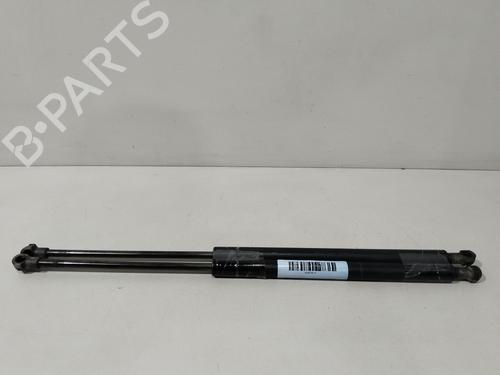 Used Tailgate lift support RENAULT SCÉNIC I MPV (JA0/1_, FA0_) 1.6 (JA00, JA16, JA15, JA19, JA1V, JA2B, JA2C, JA0B,... (107 hp) 28794899
