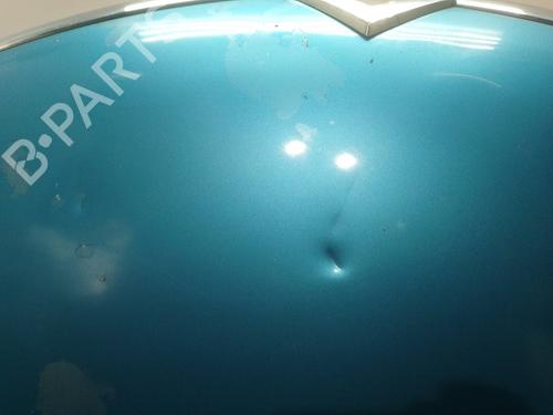 Hood CITROËN C4 Picasso I MPV (UD_)  | BP12256698C1 