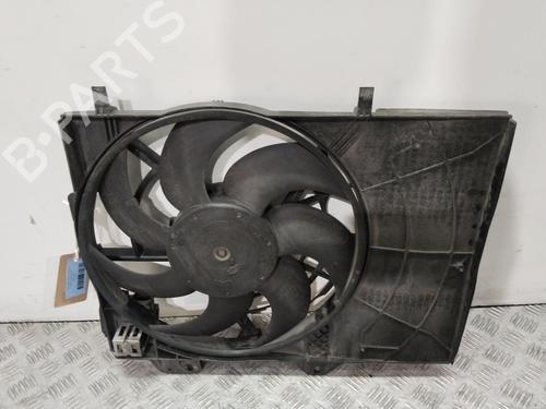 Used Radiator fan PEUGEOT 207 (WA_, WC_) 1.6 HDi (90 hp) 29402258