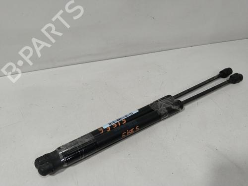Used Tailgate lift support SKODA ROOMSTER (5J7) 1.4 TDI (70 hp) 29520798