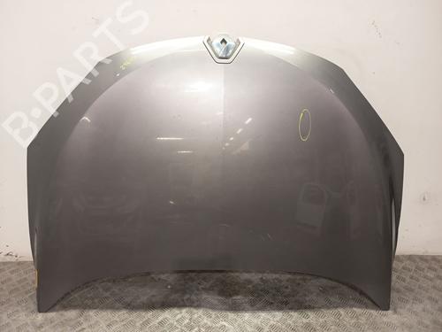 hood-renault-megane-iii-hatchback-bz01_-b3_-2008-36433594 main image