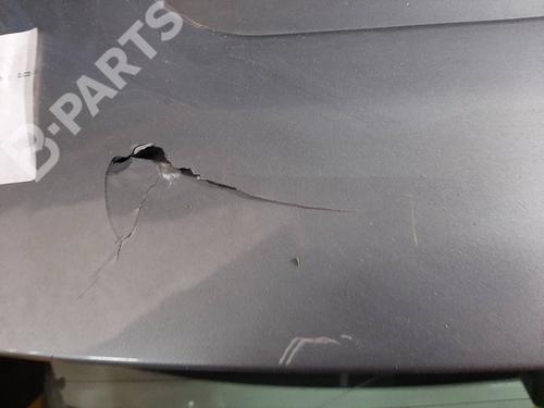 Tailgate FIAT PUNTO (188_)  | BP6990500C6 