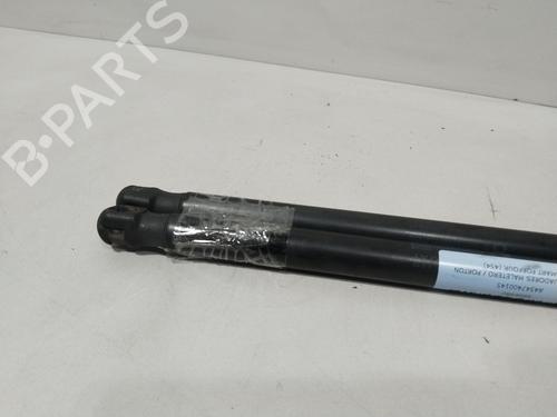 Tailgate lift support SMART FORFOUR (454) 1.3 (454.031) | BP29730096C138 - Image 3