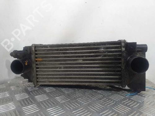 Intercooler LAND ROVER FREELANDER I (L314) 2.0 DI 4x4 | BP5173440M30 