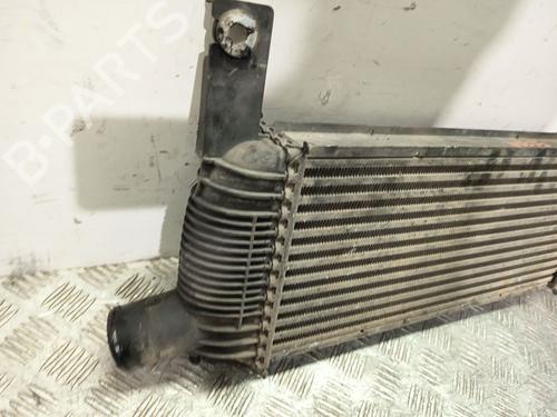 Intercooler NISSAN PATHFINDER III (R51) 2.5 dCi 4WD | BP32744888M30 - Image 3