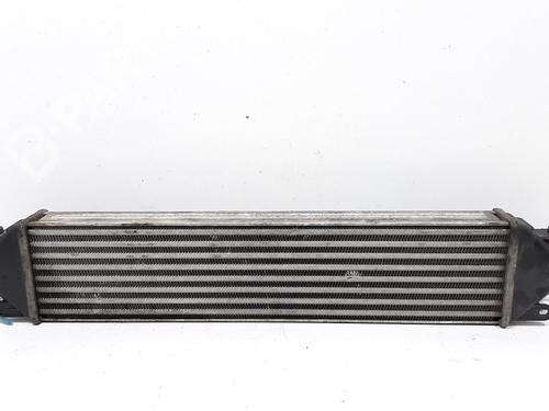 Used Intercooler FIAT GRANDE PUNTO (199_) 1.9 D Multijet (130 hp) 8697237