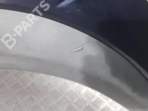 Left front fenders LAND ROVER FREELANDER I (L314) 2.0 DI 4x4 | BP8116865C41 